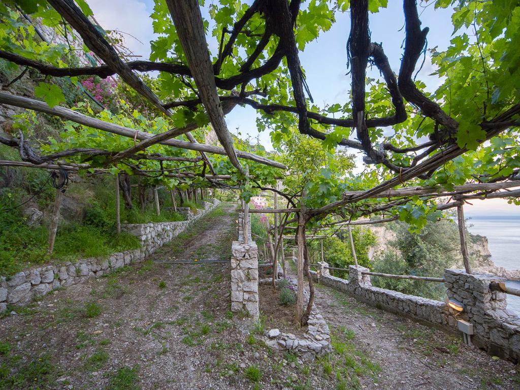 Cannaverde - Amalfi Coast Camp&Room Maiori Exterior foto